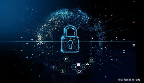 籮筐簽約黑龍江移動(dòng)，助力市場與服務(wù)信息精細(xì)化管理升級